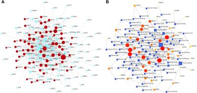 The Biological Interaction of SARS-CoV-2 Infection and Osteoporosis: A Preliminary Study